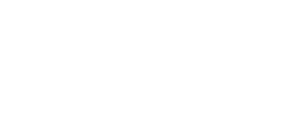 The RAPID Institute